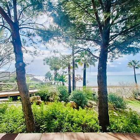 Apartamento Vista Mar カサーレス エクステリア 写真